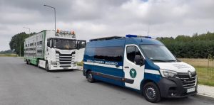 Inspektorzy stwierdzili naruszenia czasu pracy kierowcy.