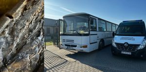 Inspektorzy kontrolują autobus przewożący dzieci do szkoły.