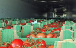 Turecki przewoźnik wykonywał na terenie Polski nielegalny przewóz kabotażowy.