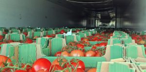 Turecki przewoźnik wykonywał na terenie Polski nielegalny przewóz kabotażowy.