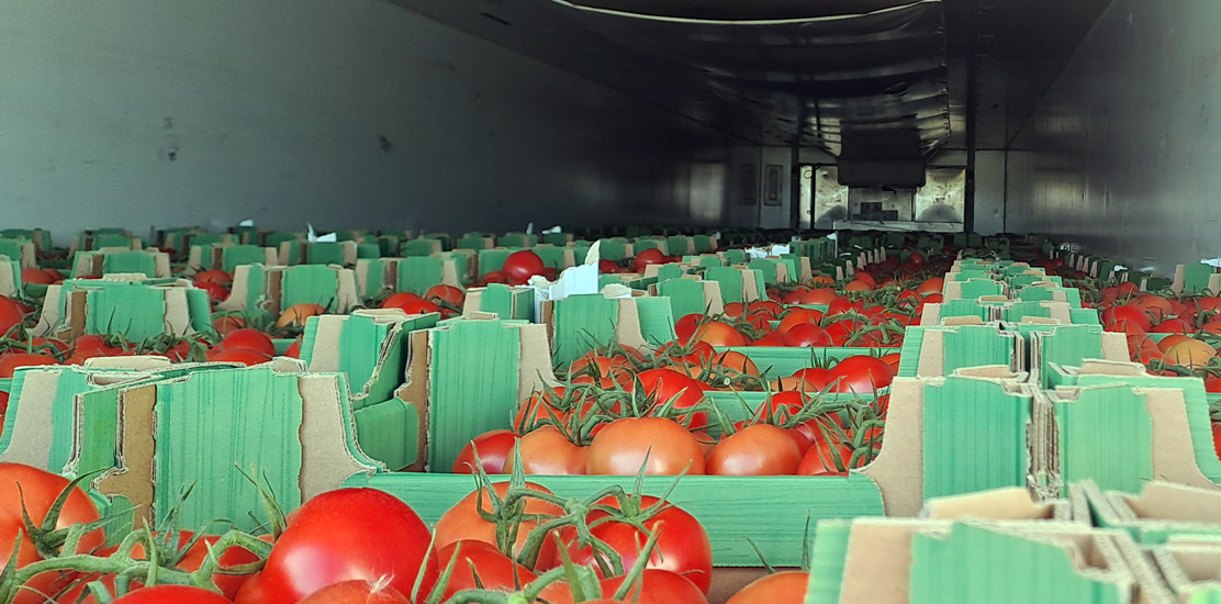 Turecki przewoźnik wykonywał na terenie Polski nielegalny przewóz kabotażowy.